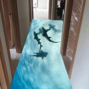 Shark 1